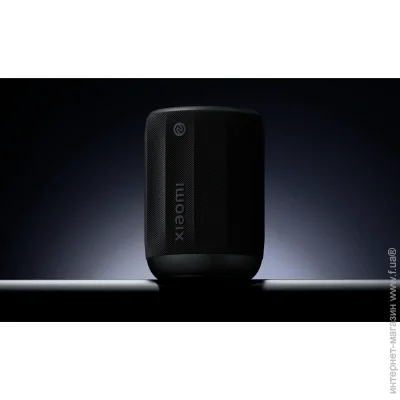    Xiaomi Bluetooth Mini (QBH4258CN)