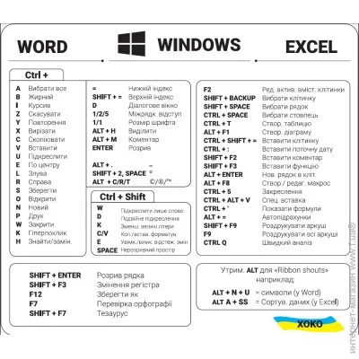 Xoko         -  Word-Windows-Excel (XK-MCR-WWEB)