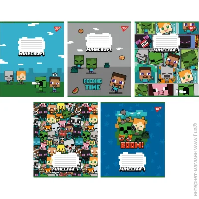 YES   Minecraft 12  
