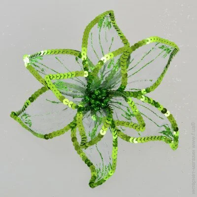 Yes! Fun Blossions of Poinsetti   "Roscosh"  -