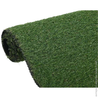 Youngrass   N 20 24