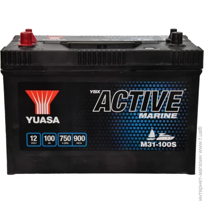   Yuasa M31-100S (M31100S)