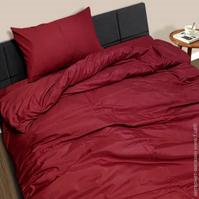    Zastelli  145x210      19-1655TPX Garnet   145210