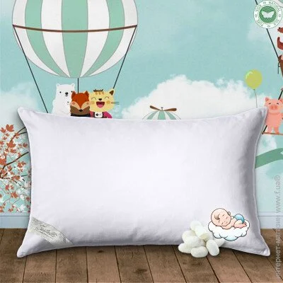   Zastelli    40*60