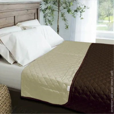 Zastelli    Ivory/Brown/ 200210 