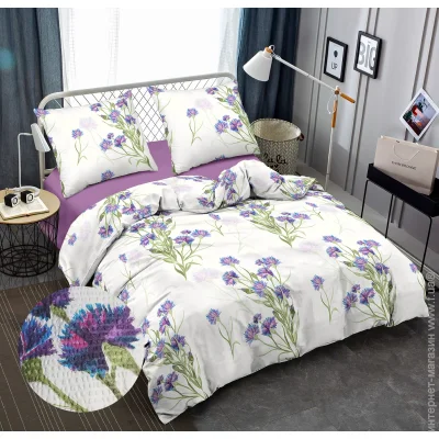    Zastelli      J3754-10/Amethyst Orchid   2145210 
