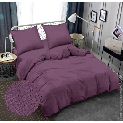    Zastelli      VIOLET   145210 