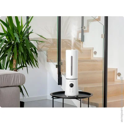   Zeegma Version White