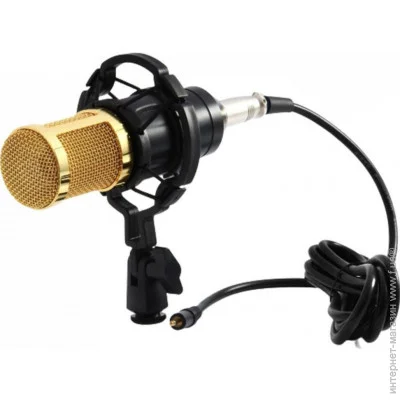 ̳   Zeepin BM-800