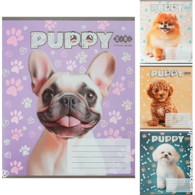   ZiBi     25  DOGS, 12 ., , KIDS LINE (ZB25.1753C)