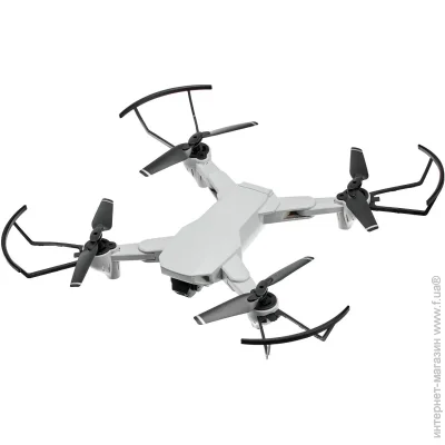 Zipp Toys  DragonFly    (5320078)