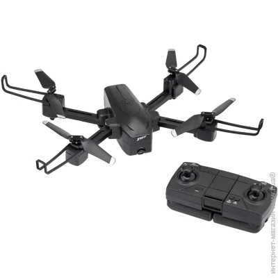 Zipp Toys  Flying Couguar Black    (5320079)