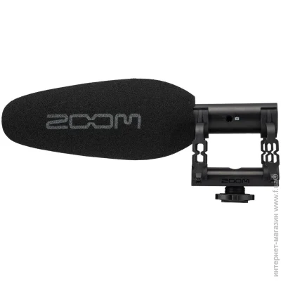  Zoom ZSG-1