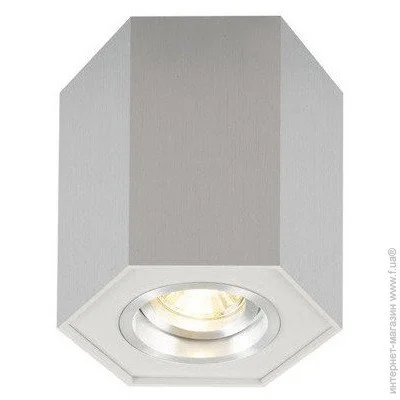  Zuma Line POLYGON CL R 20077-AL