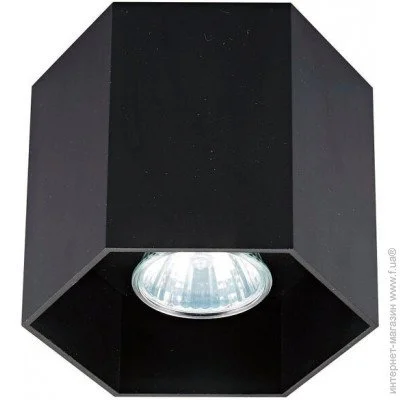 Zuma Line   Zumaline 20035-BK Polygon
