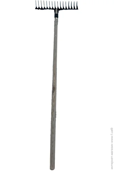   16 