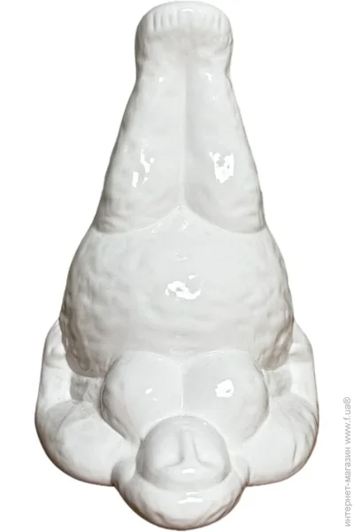      20 