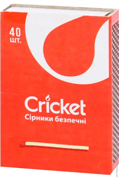     Cricket  40 .