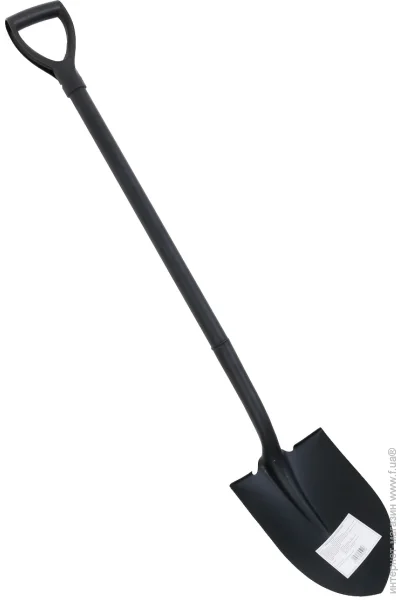     S505D