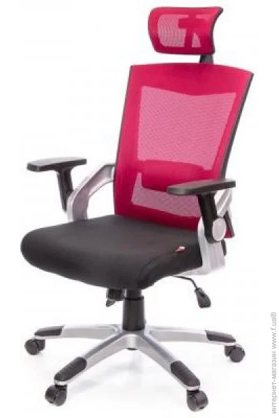     PL HR ANF  (10480)
