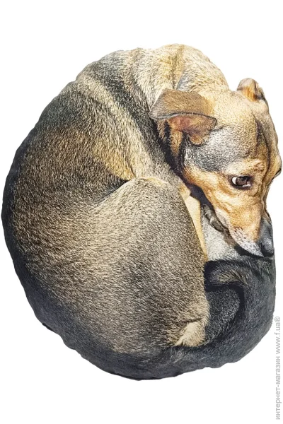        " " DOG-M 42 