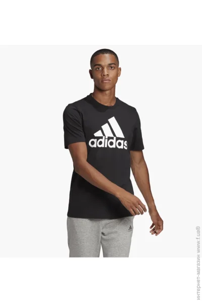   Adidas Essentials Big Logo (GK9120-M)