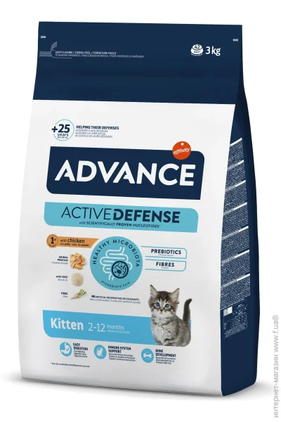     Cat Kitten   3 