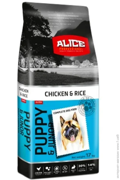   Alice Puppy&Junior   17 
