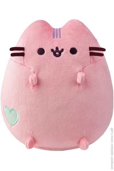   Aurora Pusheen  18  (230224B)