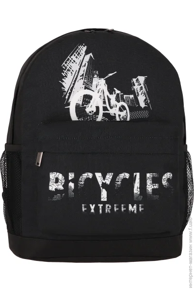   Bagland icycle 17  533662