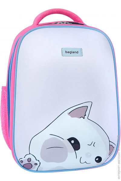   Bagland Turtle 17 . - 1353 (0013466)  