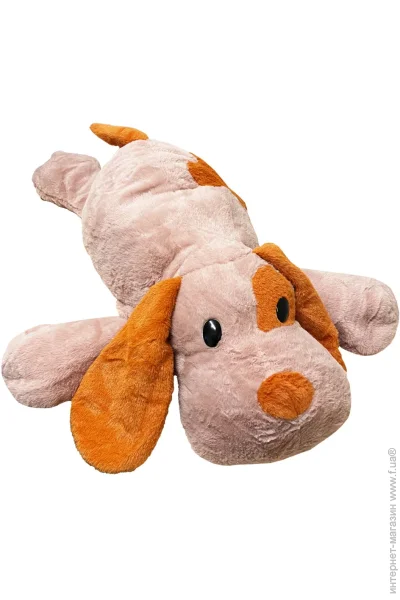 '  Bambi   55  (L1132(Violet))