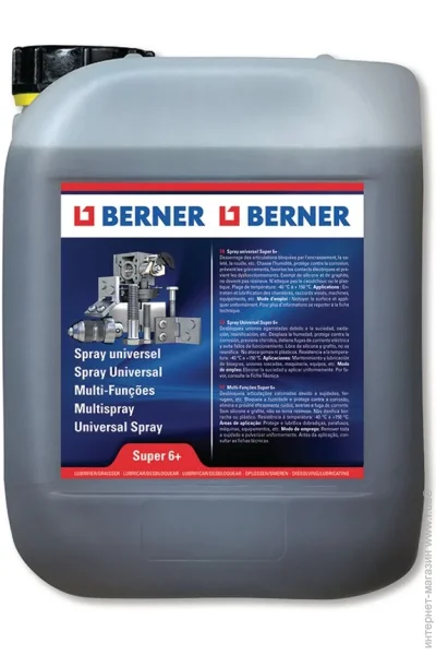  Berner 5  (24118)