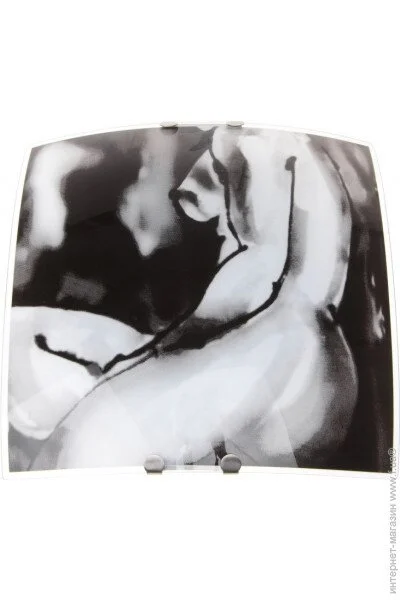 Светильник настенно-потолочный накладной W-436/1 (171235) Светильник настенно-потолочный накладной W-436/1 (171235)