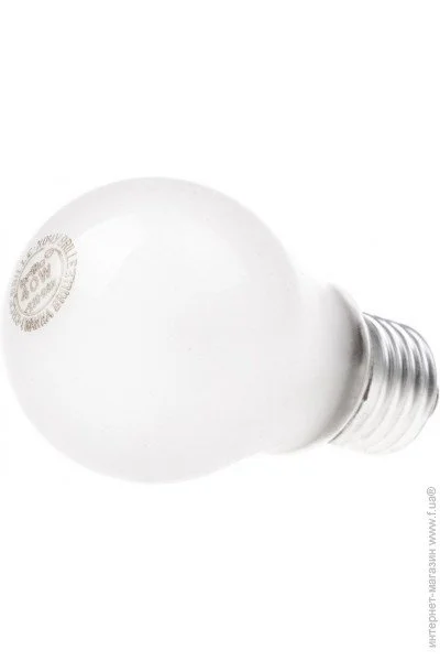    A55 40W FR BRILLE (126818)
