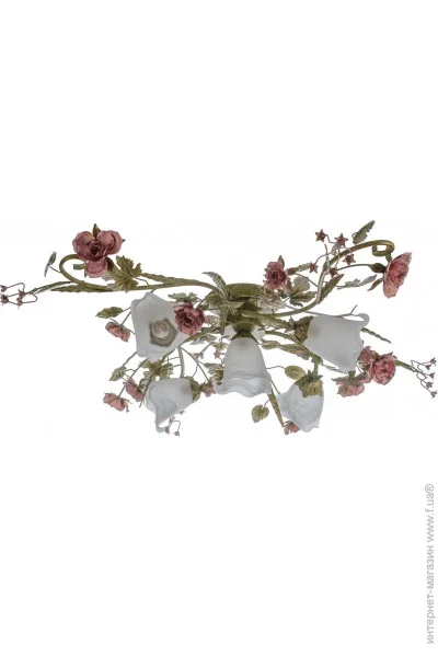 Brille  BKL-501S/-180798