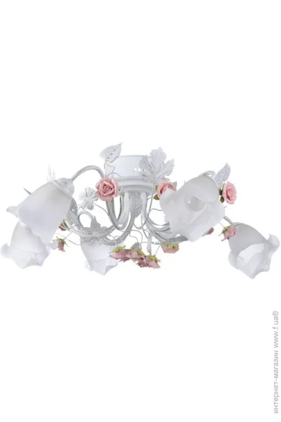 Brille  BKL-502S/-180806