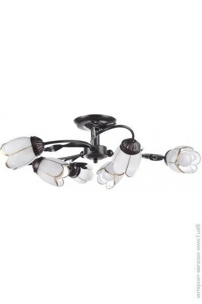Brille  BKL-515S/E1D-L67-126