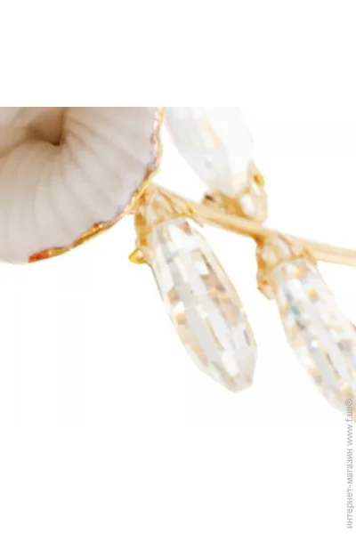  Brille  BKL-529-YL5216
