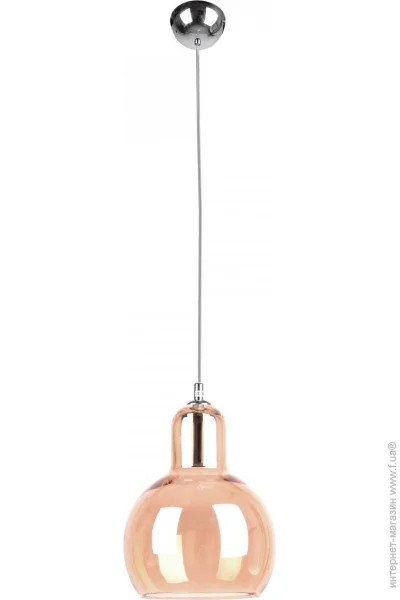      E27 60W AMB (BL-216S/1) (22-018)