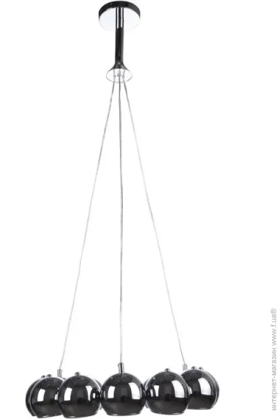 Brille  BL-308S/1E1C (22-464)