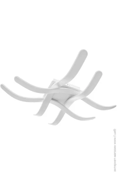 Brille  BL-541C/128W (23-500)