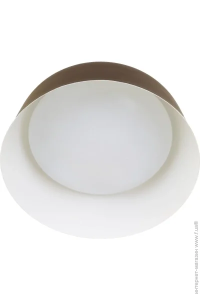 -  BL-598C/24W WW COF (23-856)