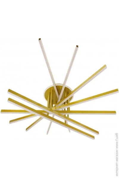 Brille  BL-738C/93G (24-873)