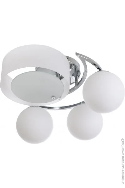 Brille  BL-929C/E2W (24-233)