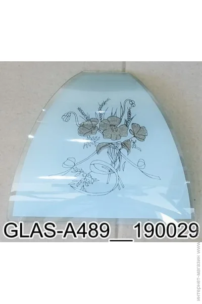  Brille    GLAS-A489 LK-253S/1 (190029)