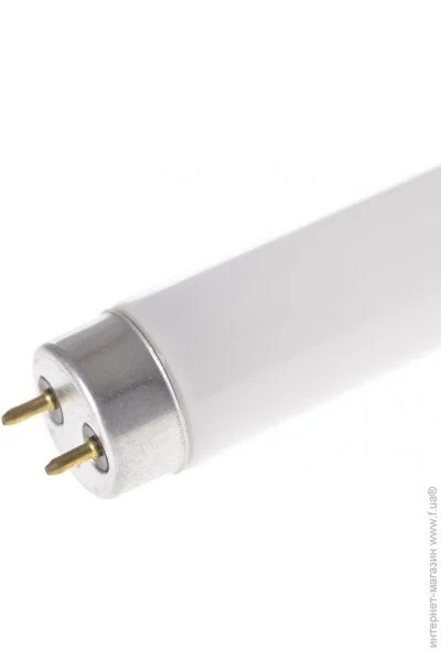    G13 LF 30W/33 BRILLE T8 (126393)