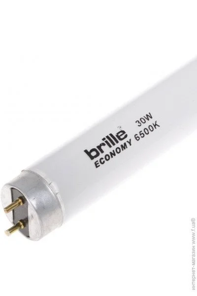    G13 LF 30W/54 6500K BRILLE ECONOMY T8 (126964)
