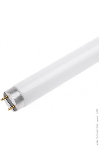   G13 LF 30W/54 BRILLE T8 (126396)