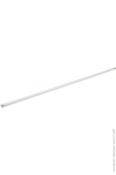    G13 LF 36W/54 6500K BRILLE ECONOMY T8 (126965)